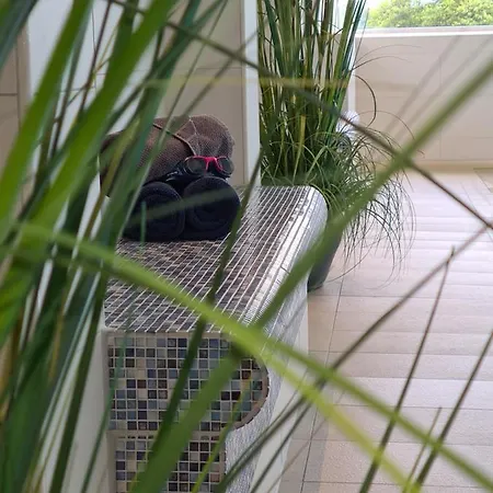 Terrassenhaus, 41 דירה